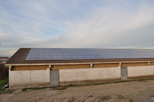 Impianto fotovoltaico agricolo