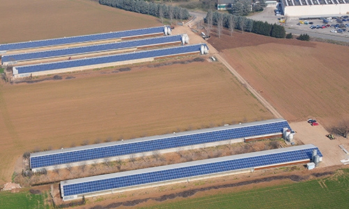 Impianto fotovoltaico agricolo