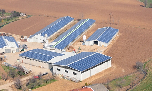 Impianto fotovoltaico agricolo